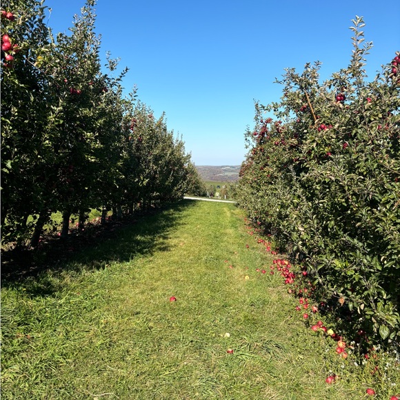 Meet your Posher, Kim - Picture 1 of 1